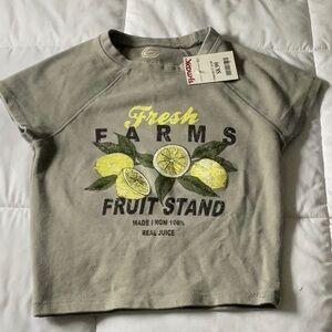Gray and Yellow Crop Top with Fruit Stand Design